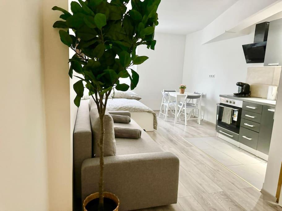 Stylish Schonbrunn Apartments - Free Underground Parking Vienna Luaran gambar