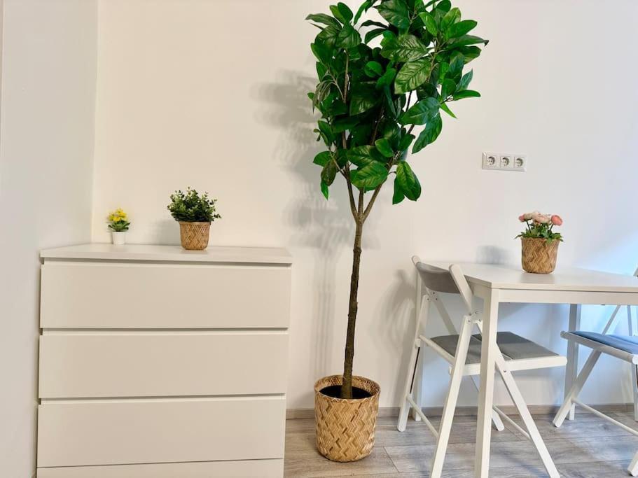 Stylish Schonbrunn Apartments - Free Underground Parking Vienna Luaran gambar