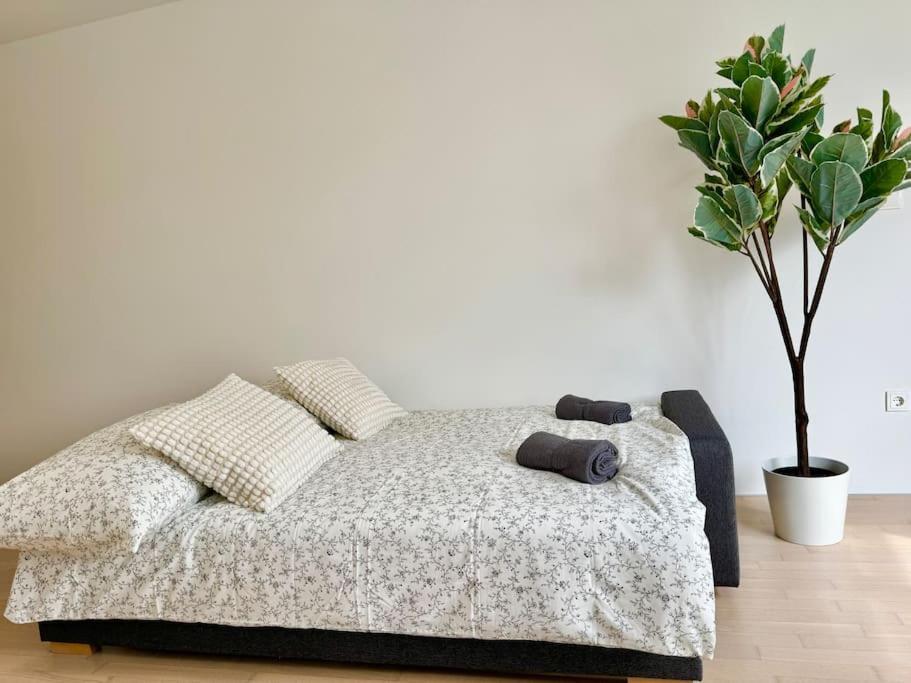 Stylish Schonbrunn Apartments - Free Underground Parking Vienna Luaran gambar